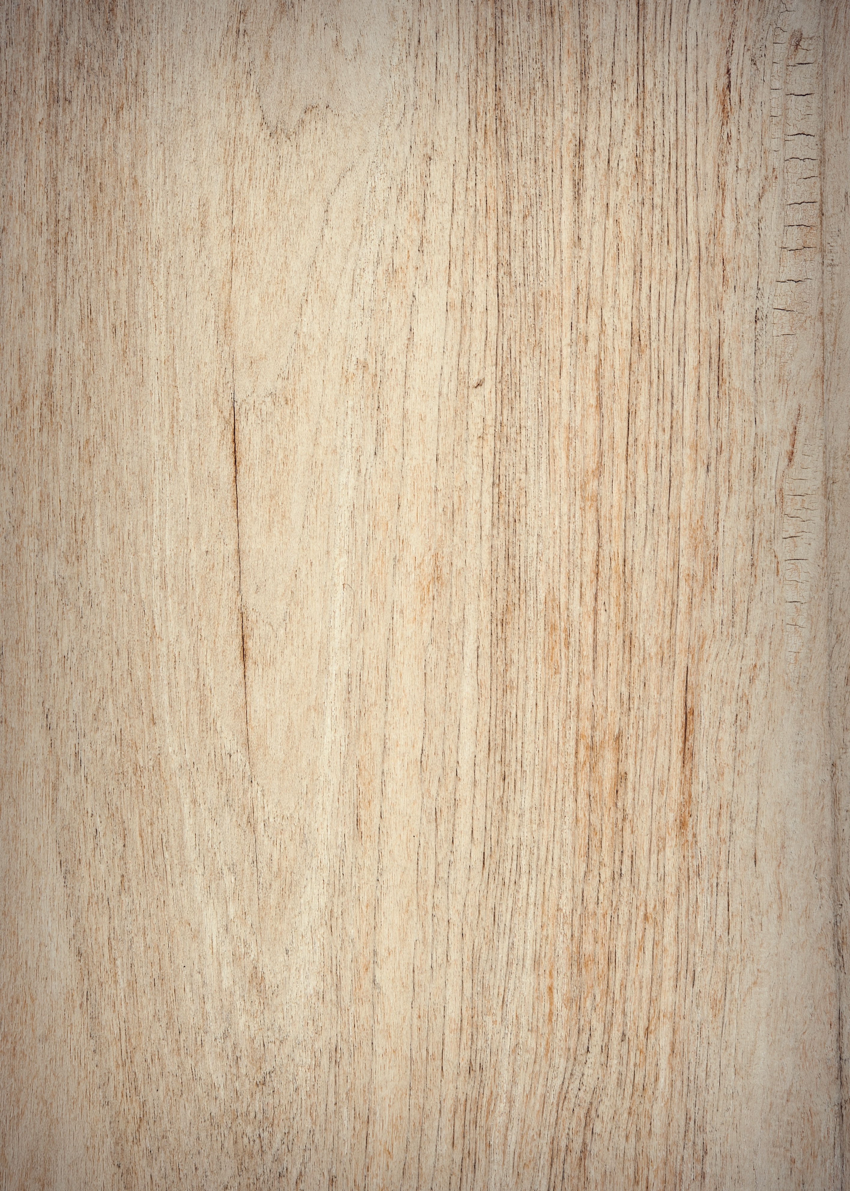 birch wood