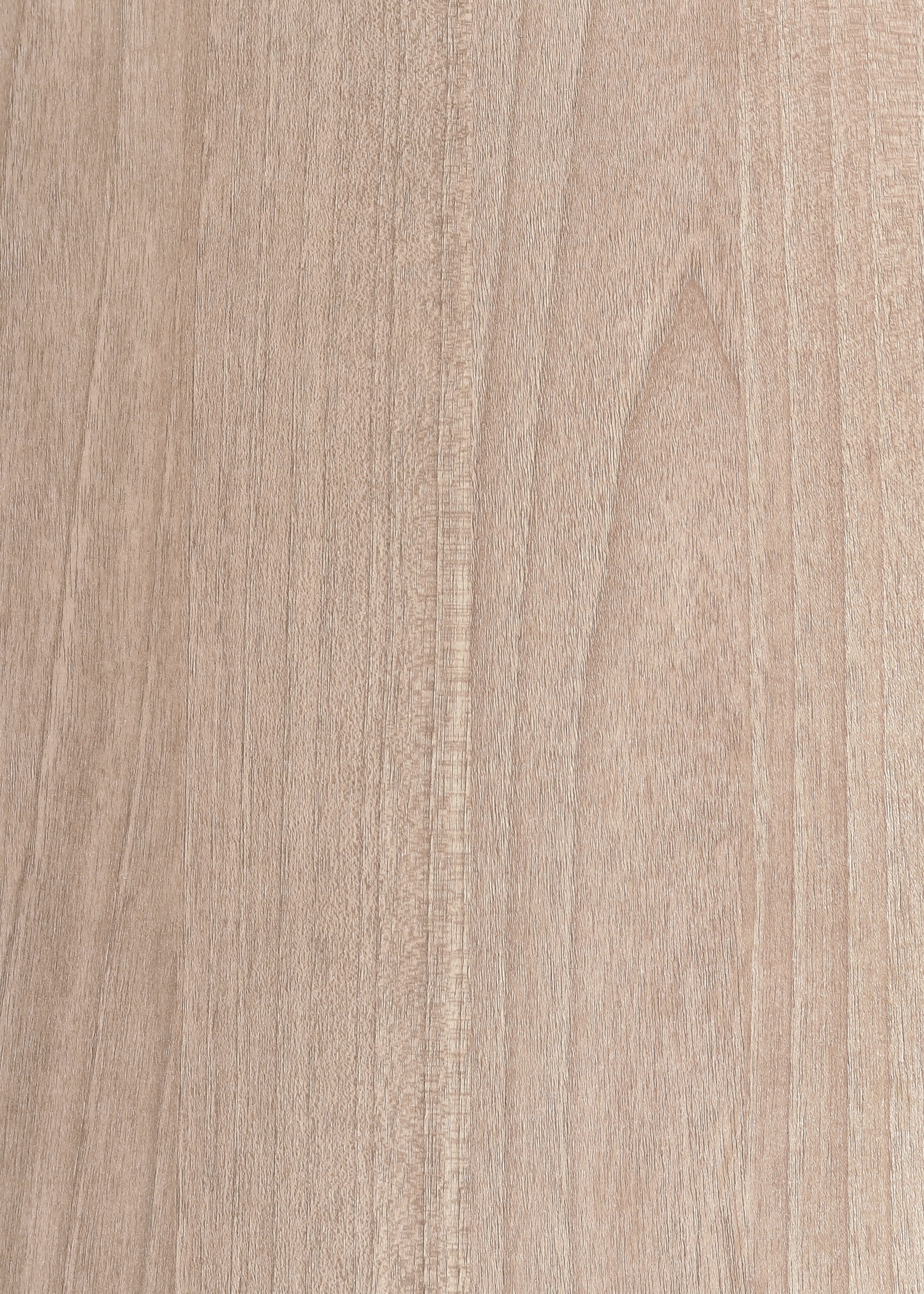 fir wood