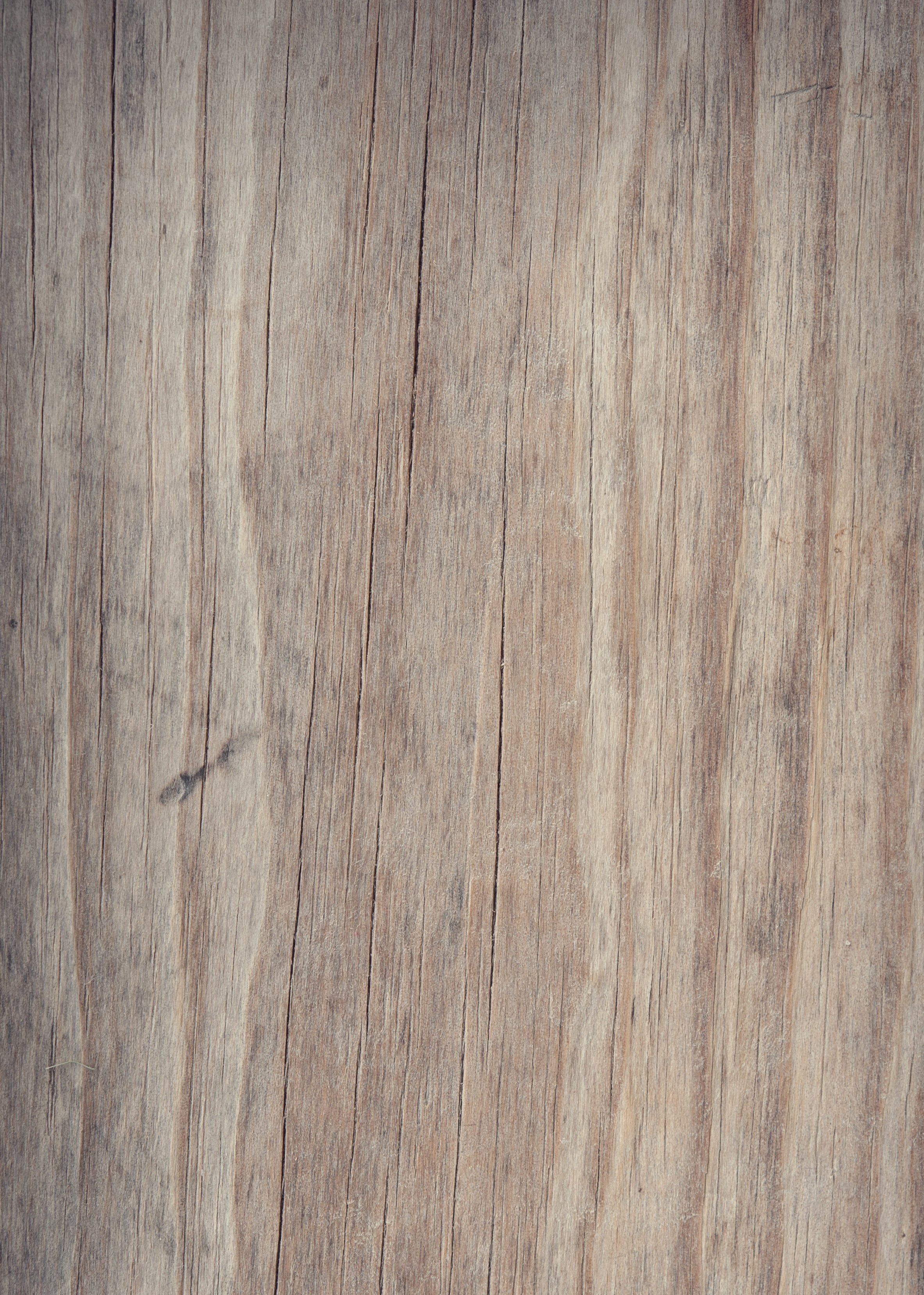 oak wood